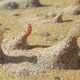 Image for article titled 10 Geological Forms We've Studied For Years And Still Don't Understand